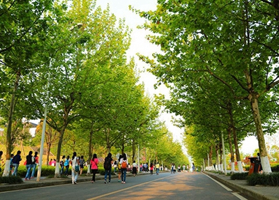 榆林体育运动学校跆拳道专业介绍