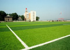 泸州市天宇中等职业技术学校是民办学校还是公办学校？