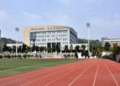 乐山市金盾职业学校是民办学校还是公办学校？