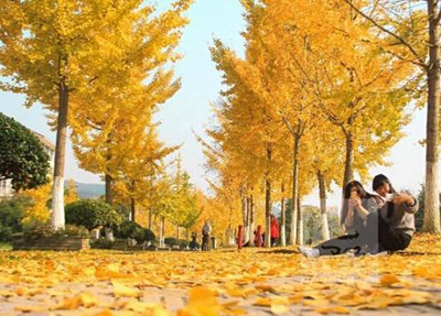 2025年初中毕业学护理专业，廊坊护理专业学校推荐~
