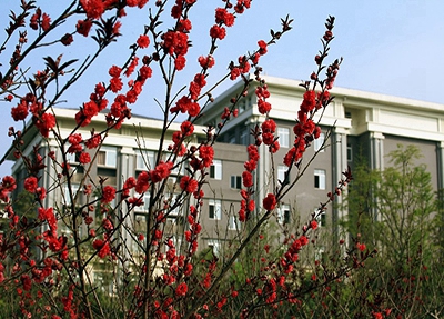 2025年初中毕业学护理专业，大理护理专业学校推荐~