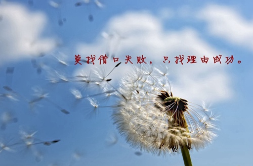 为什么体育单招能圆低分考生的本科大学梦