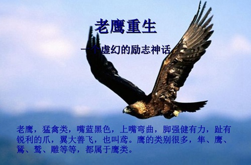 云南省潞西市芒市中学如何？管理教学怎么样？