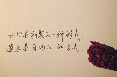 为什么体育单招能圆低分考生的本科大学梦