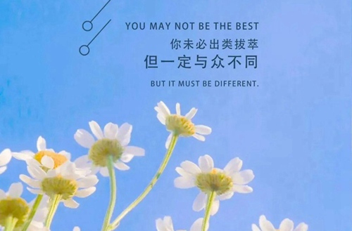 体育单招培训课程安排和培训内容