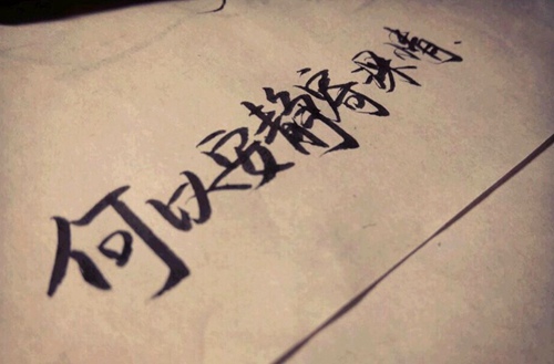 武术与民族专业-散打