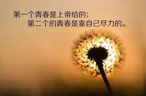 体育单招培训：武术套路的发展怎么样？