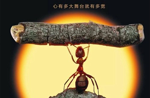 昆明市第八中学2019年报考指南