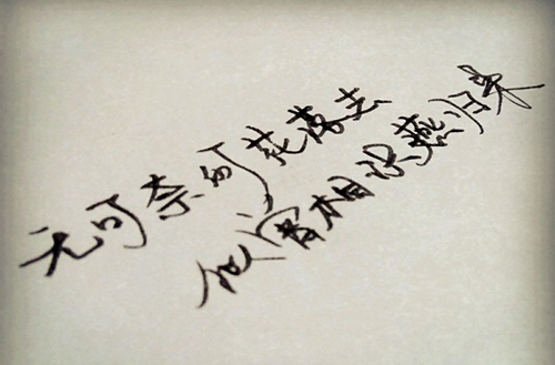 中国目前有哪些院校开设单招项目？