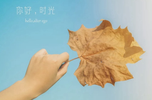 为什么体育单招能圆低分考生的本科大学梦