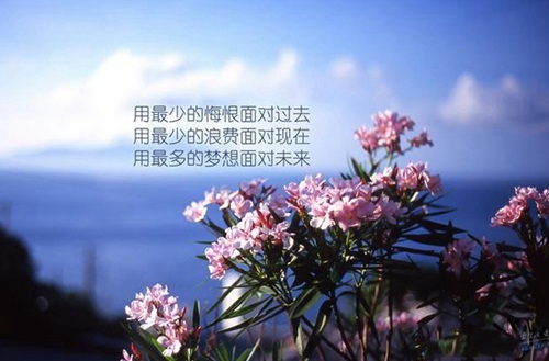 保山市第二职业中学如何？管理教学怎么样？