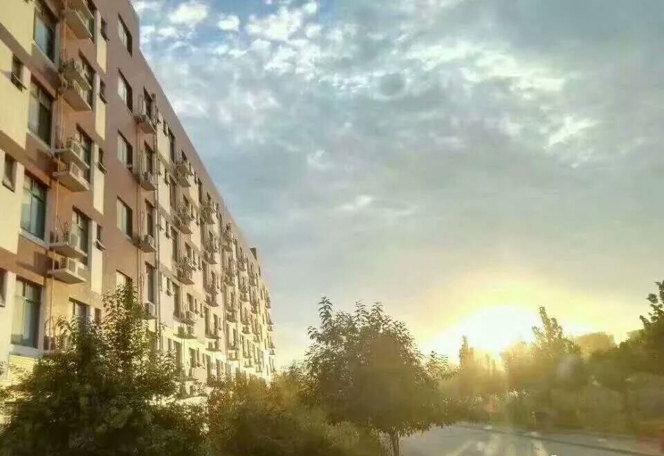 宜阳县职业教育中心，中心简介
