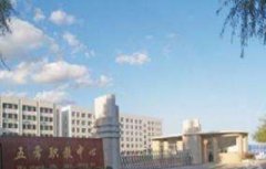 2019五常市职业技术教育中心学校招生简章